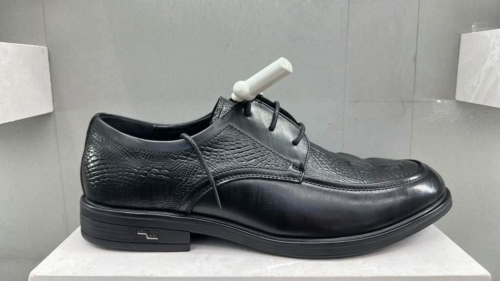 SHOES  H2 