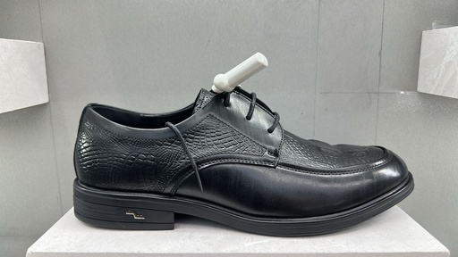 SHOES  H2 